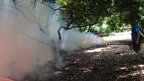 Máy phun khói diệt côn trùng Vino giúp diệt côn trùng hiệu quả